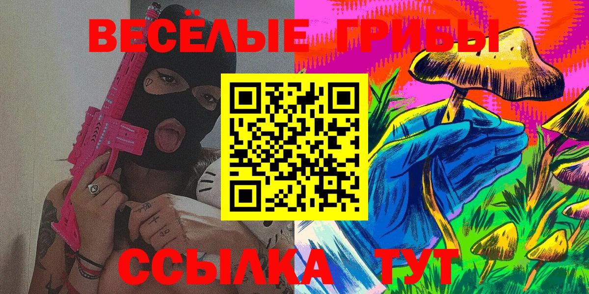 Псилоцибиновые грибы Cubensis Муром