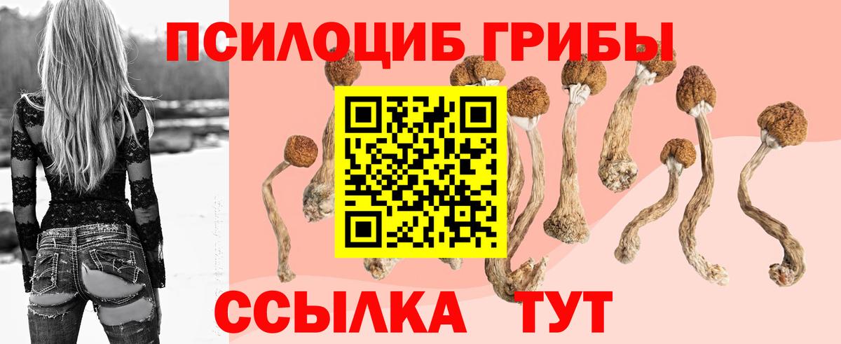 Муром  Галлюциногенные грибы GOLDEN TEACHER  Вход с VPN  хочу наркоту  Псилоцибиновые грибы мухоморы 